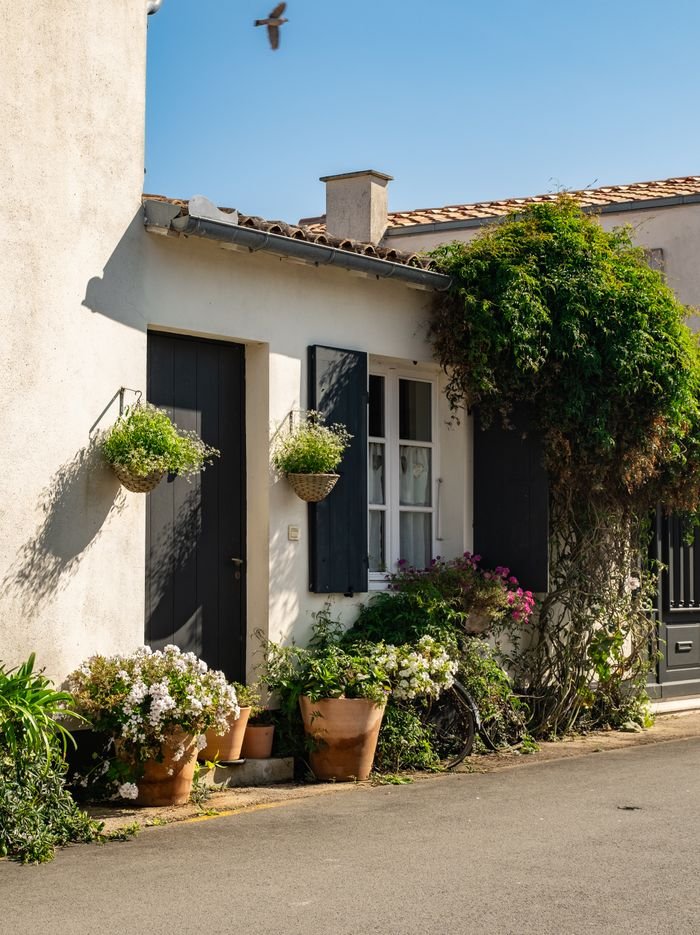 Picturesque cottage exterior with vibrant flower pots and lush ivy under a clear blue sky.